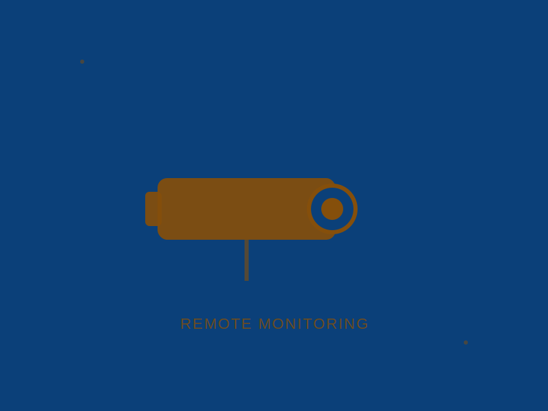 Remote monitoring setup